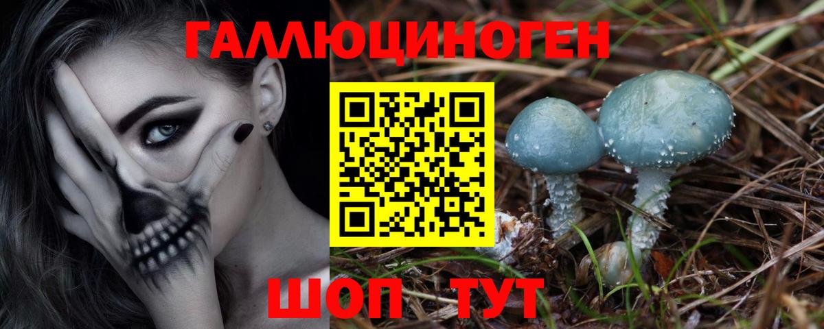 Абинск  Псилоцибиновые грибы Magic Shrooms  Вход с VPN 
